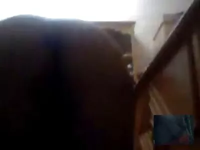 Dildo jauniklis dulkinasi ant valgomojo stalo.