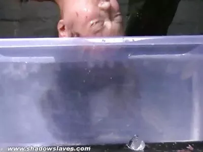 Krūtinė brazilė su dideliu grobiu mėgsta įtemptą šūdą.